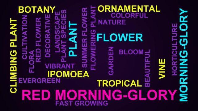 Red Morning-Glory Word Cloud