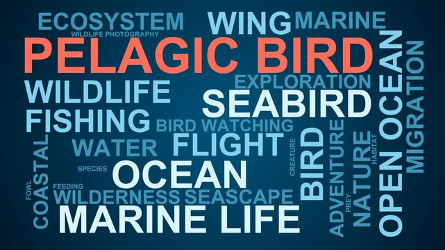 Pelagic Bird Word Cloud