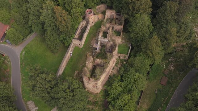 Aerial view of Teutonic Castle in Swiecie ruins surrounded by lush green forest and trees in Swiecie, Wojewodztwo kujawsko-pomorskie, Poland.