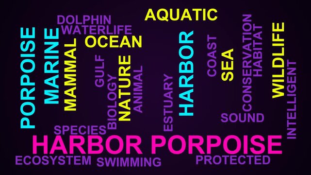 Harbor Porpoise Word Cloud
