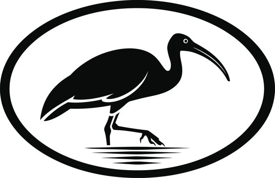 Minimalist black and white vector illustration of an ibis bird standing inside a simple oval frame