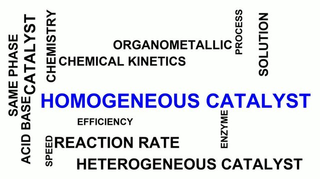 Homogeneous Catalyst Word Cloud