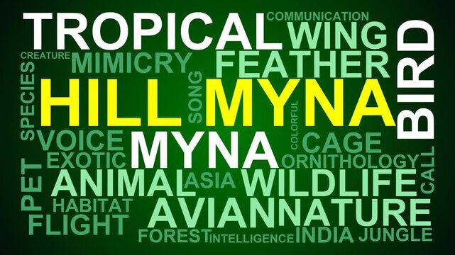 Hill Myna Word Cloud