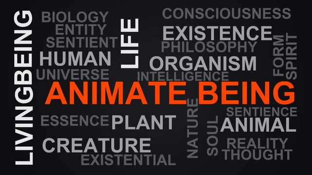 Animate Being Word Cloud