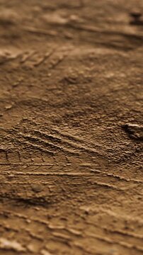 The scene shows various markings on a brown textured surface. Light highlights the pattern and depth of the surface. The image captures details in a naturally lit environment.