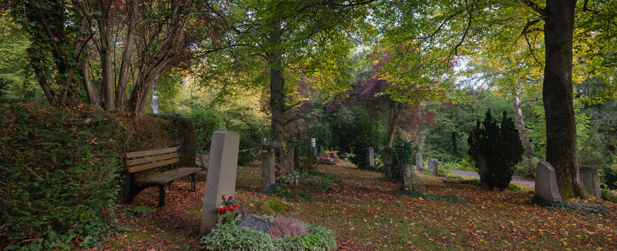 Im morgendlichen Dunst und Nebel im Oktober auf dem Waldfriedhof unterwegs