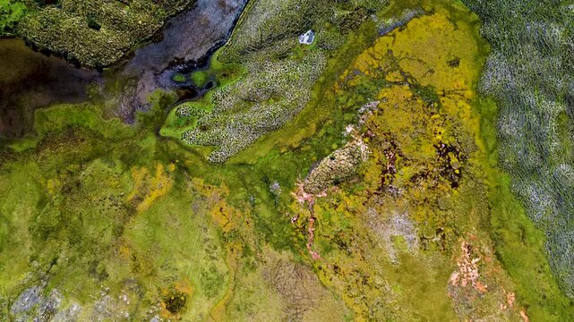 Aerial drone footage shows a broad Andean valley in Ecuador, where a pale winding dirt road crosses open highland grassland and green patches beside a narrow stream. Layered mountain ridges and a clou