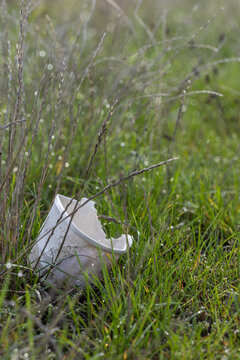 A crushed white paper cup sits abandoned as litter among green meadow grass and dry plant stalks covered in morning dew.