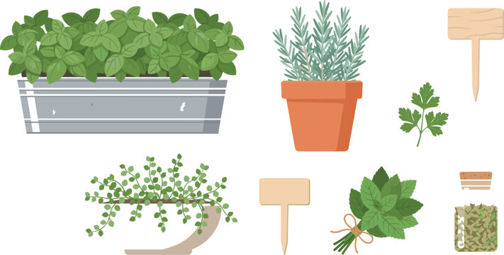 Beautiful flat design vector illustration set of fresh kitchen herb plants garden planters and wooden plant signs isolated on white