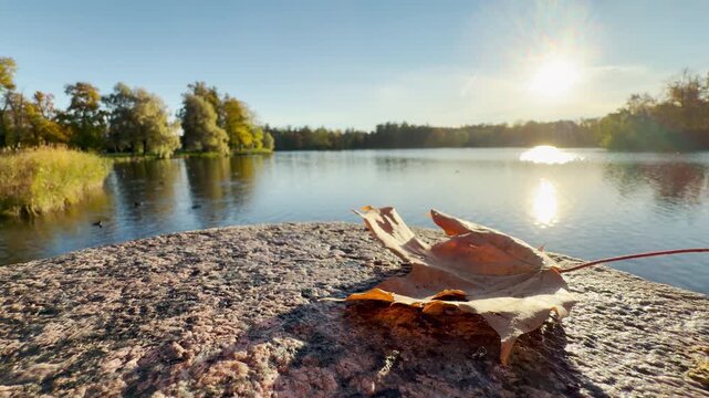 A dry autumn leaf rests peacefully on a stone parapet, catching warm sunlight beside a serene lake. The quiet beauty evokes a feeling of calm and nostalgia in Catherine Park, Pushkin, Saint Petersburg