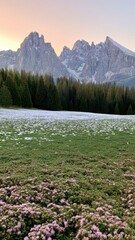 Naklejka premium Snowy Dolomites above alpine meadow, forest and pink flowers