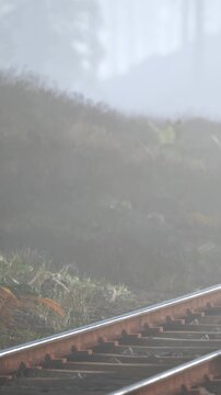 Fog covers a field next to train tracks. The scene shows wet grass and a quiet atmosphere. The sun is rising but not visible due to the fog. The area is calm and isolated.