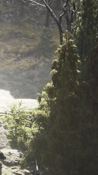 A forest area shows tall trees with green leaves. Sunlight filters through the branches, creating light patterns on the ground. A river flows nearby, adding to the natural setting.