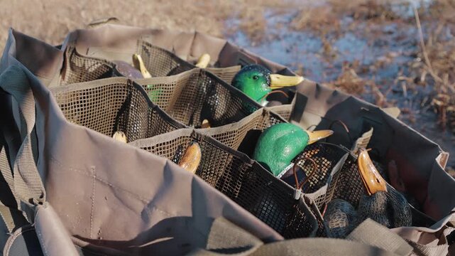 Bag filled with duck decoys for waterfowl hunting