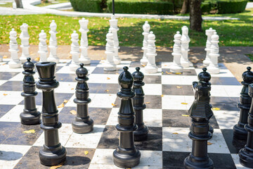 Giant chess game in an outdoor park on a sunny day © murziknata