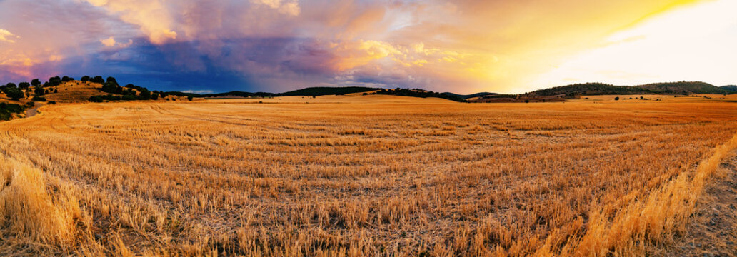  Campo agr&iacute;cola cosechado bajo un espectacular y colorido cielo al atardecer. Paisaje rural, temporada agr&iacute;cola, econom&iacute;a agr&iacute;cola, campo tranquilo, belleza natural.