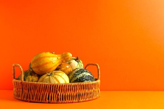 Decorative pumpkins in a wicker basket on orange surface. Halloween and Thanksgiving concept