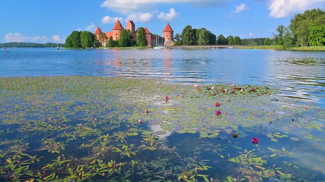 Water lilies floating on Lake Galve with Trakai Island Castle