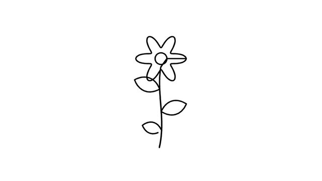 Continuous Line Botanical Flower Illustration with Leaves