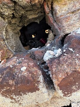 Melted slag and refractory brick close up