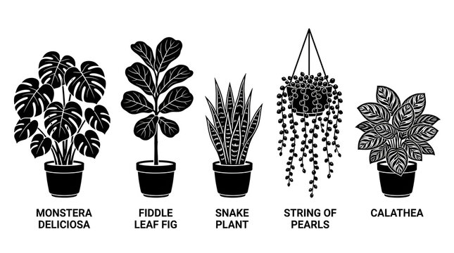 Minimalist Houseplants in Pots Black Line Art Vector Set. Tropical House Plant Silhouette Set Isolated on White Background.