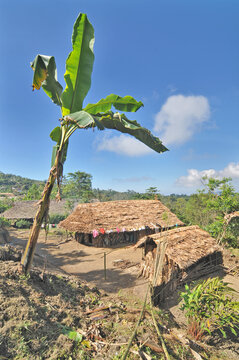 The traditional Shangyu  village of the Konyak tribe, inhabiting the state of Nagaland in eastern India.
