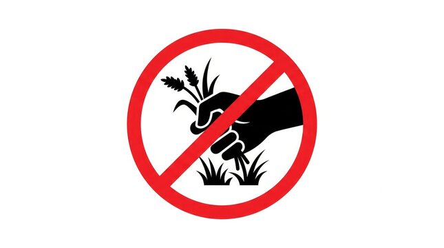 Do not pick flowers sign with hand pulling plant icon isolated on