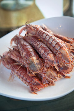 Cooked Mantis Shrimp on a White Plate