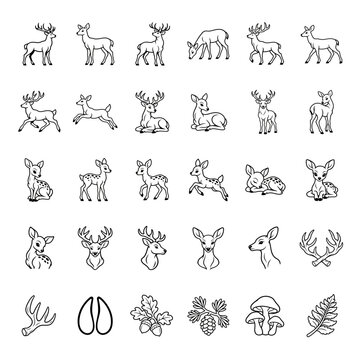 Deer set line art icons with antlers and forest elements for wildlife