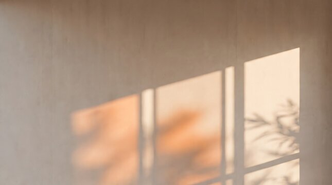 Soft sunlight casting warm shadows through minimalist window frames