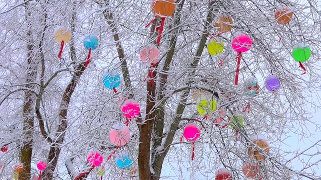 Colorful Festive Lanterns Hanging on Frost and Snow-Covered Trees