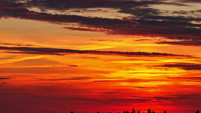 Aerial view of vibrant sunset sky with layers of orange, red, and yellow clouds above silhouetted treetops, Latvia.