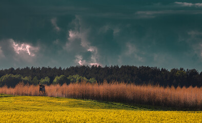 Warmia Kraina Rzepaku  © Wojciech Lisiński