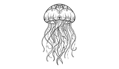 Detailed black and white illustration of an ornate jellyfish with flowing tentacles © Md