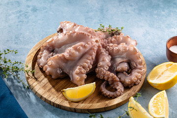 Seafood octopus. Whole fresh raw octopus on wooden board with lemon, herb on blue background, top view. © Maria