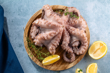 Seafood octopus. Whole fresh raw octopus on wooden board with lemon, herb on blue background, top view. © Maria