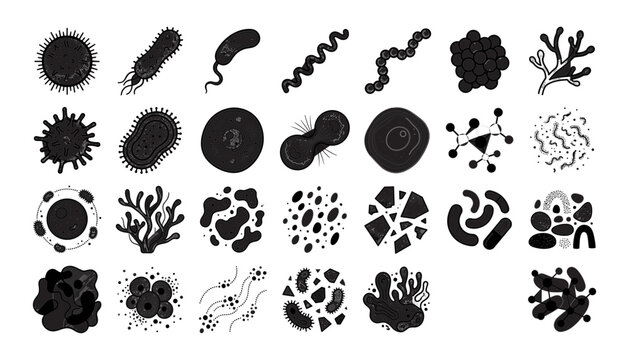 Microbiology bacteria virus organisms, biological cell structures, and pathogen microscopic silhouettes vector set