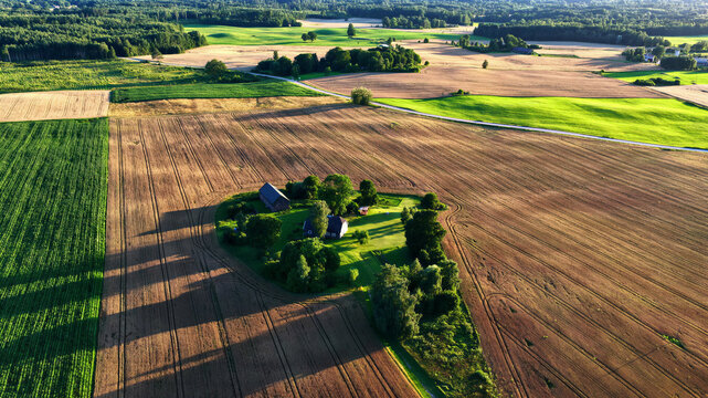 Aerial view of a small farmstead surrounded by trees in the middle of vast agricultural fields with varying crop textures and golden hour light in Latvia.