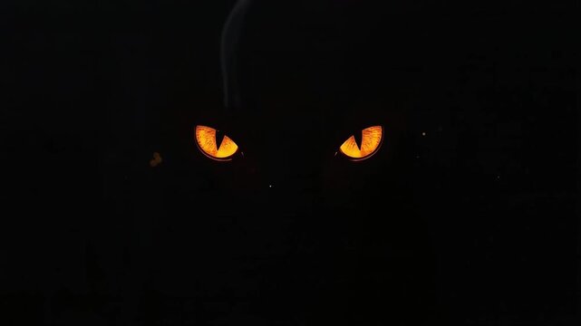Glowing yellow cat eyes staring from dark shadows in spooky Halloween video clip animation footage
