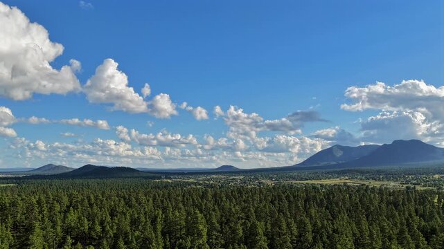Aerial view of the vast pine forest landscape with Elden Mountain in the distance under a bright blue sky with scattered clouds in Flagstaff, Arizona, United States.