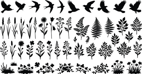 Fototapeta premium Botanical Bird and Plant Silhouette Collection for Nature Design Projects