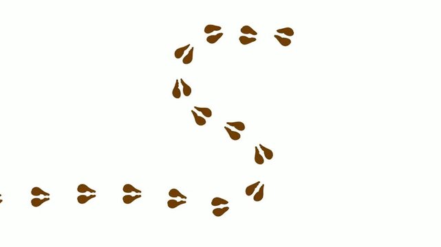 Animated animal tracks footprints walking and leaving path on white background, motion paw prints, hoof prints