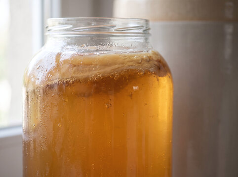 Close-up of Homemade Kombucha Fermentation Jar with Floating SCOBY Culture