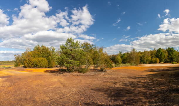 peat bog landscape and mineral terrain with trees and blue sky in Soos National Nature Reserve Czech Republic