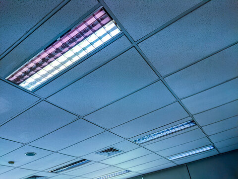 Suspended acoustic ceiling tiles in a classroom with recessed fluorescent light fixtures and air vents, extending in clean geometric rows toward the windows in a bright, orderly interior.