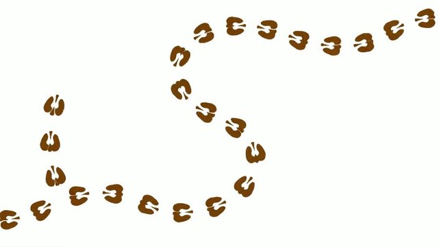 Brown animal hoofprints walking and appearing sequentially on a clean white background, motion animation