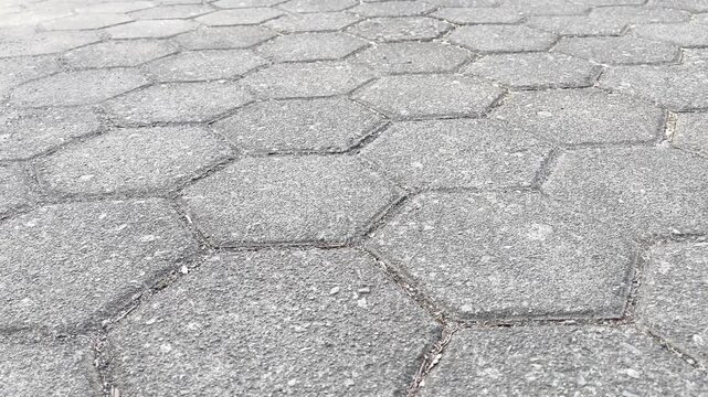 Hexagonal concrete paving blocks texture with moss in joints