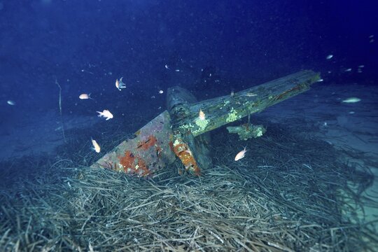 Weathered wreck of an aeroplane embedded in seagrass on the seabed with fish swimming past. Dive site aircraft wreck Mustang P51, Giens peninsula, Provence Alpes C&ocirc;te d'Azur, France