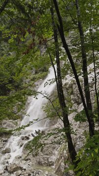 A vertical video of the Plesnik waterfall and trees surrounding it, Logarska Dolina, Slovenia 