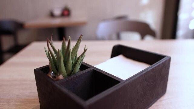 Wooden napkin holder stands on cafe table beside clean white napkins and green plant. Camera slowly approaches decorative tabletop arrangement.